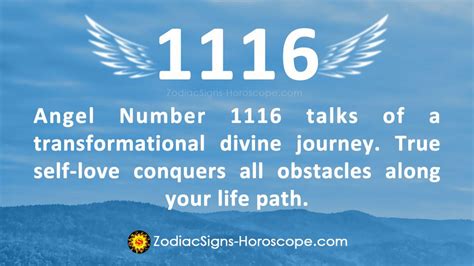 1116 angel number|what 1116 angel number means.